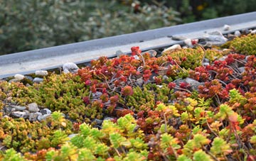 the cost of Rumer Hill green roof installation